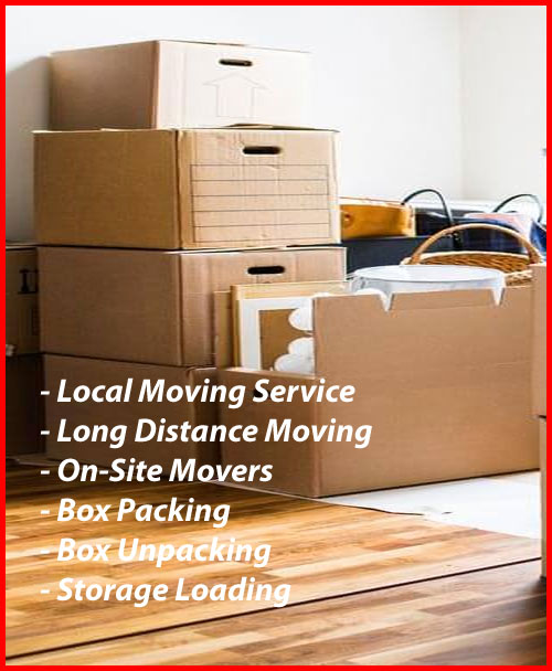 Packers And Movers Noida Sector 153
